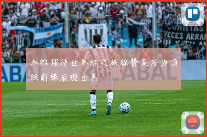 加维期待世界杯之旅称赞莱万为顶级前锋表现出色